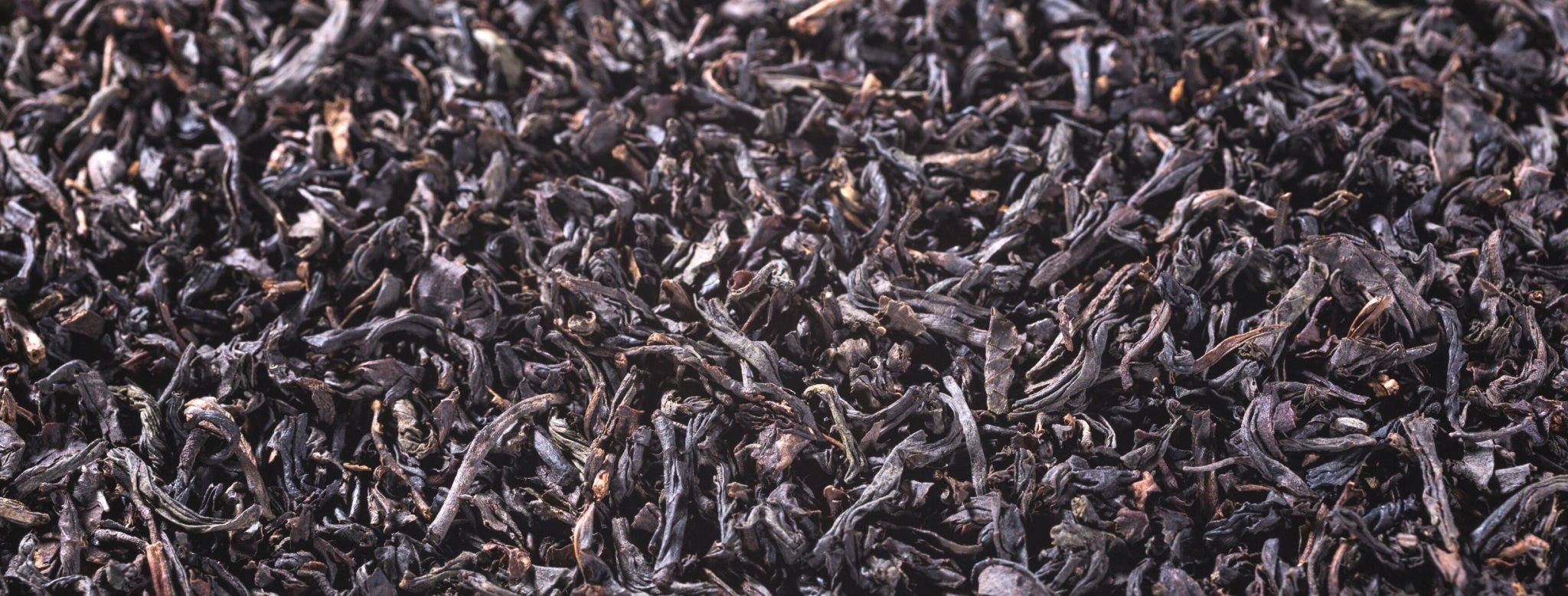 Discover Lapsang Souchong