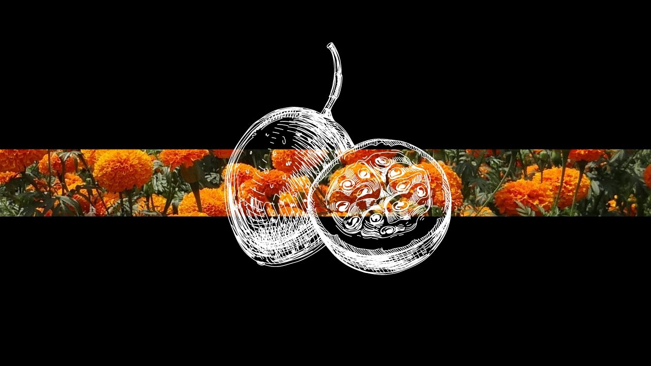 Revival Tea Academy: Passion Fruit Tea - Revival Tea Company