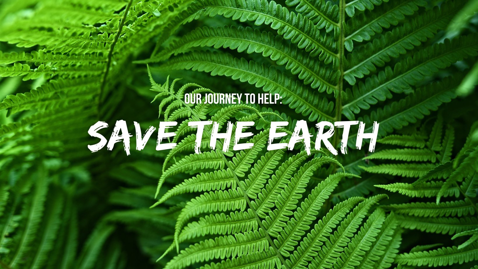 Towards a Greener Future: Our Journey to Carbon Neutrality by 2030